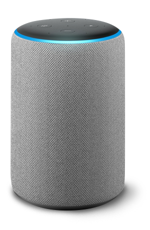 Amazon Alexa grey speaker