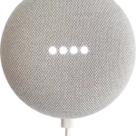 Google Assistant Device